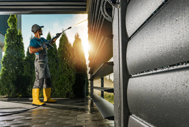 Best Sidewalk and Walkway Cleaning  in Crystal, MN